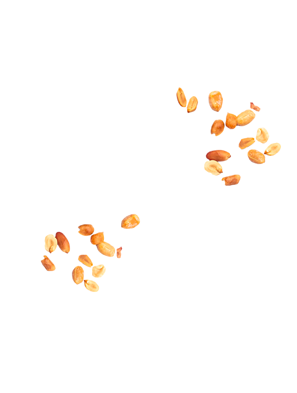 Cacahuètes grillées à sec Menguy's