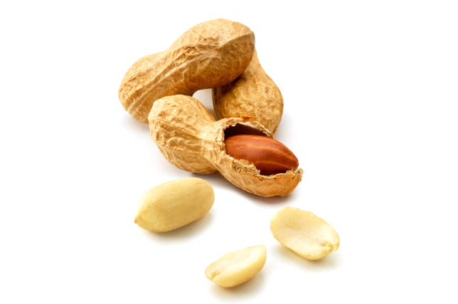 Cacahuètes Menguy's filière