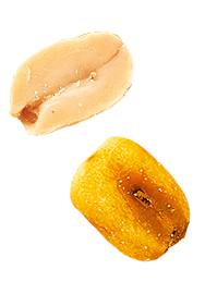 Cacahuète et grain de maïs grillé Menguy's Apéro