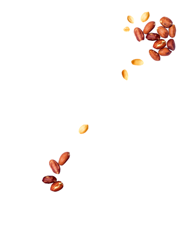 Cacahuètes à l'ancienne graines