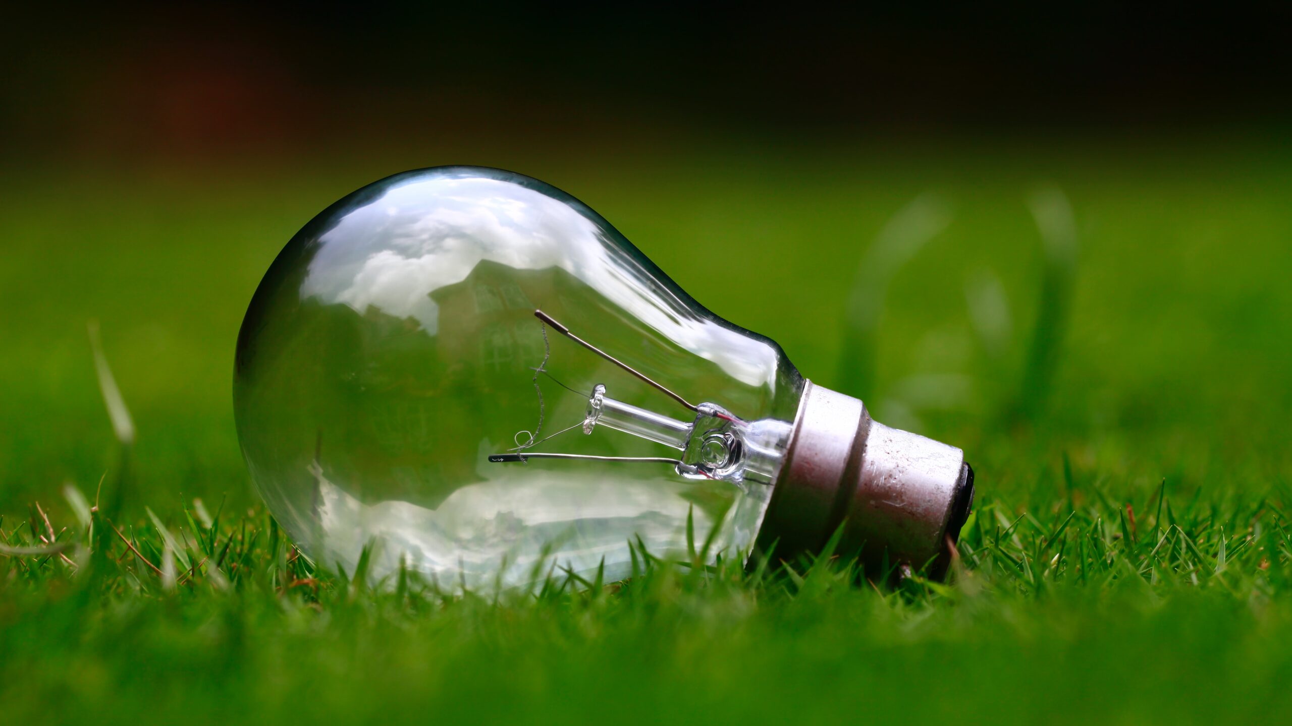 <p>L’électricité que nous utilisons est 100% verte !</p>
