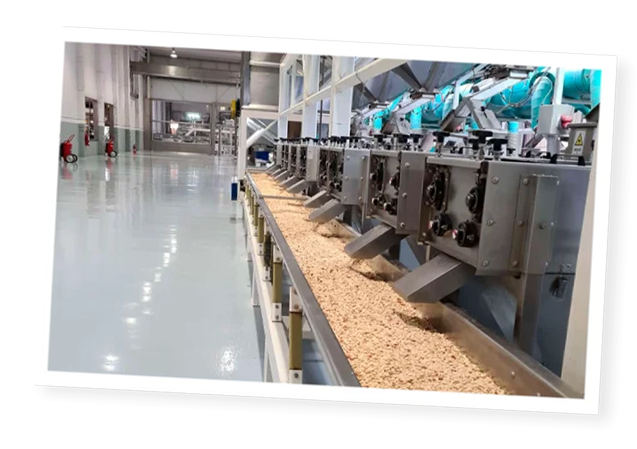 Nos usines de cacahuètes en Argentine
