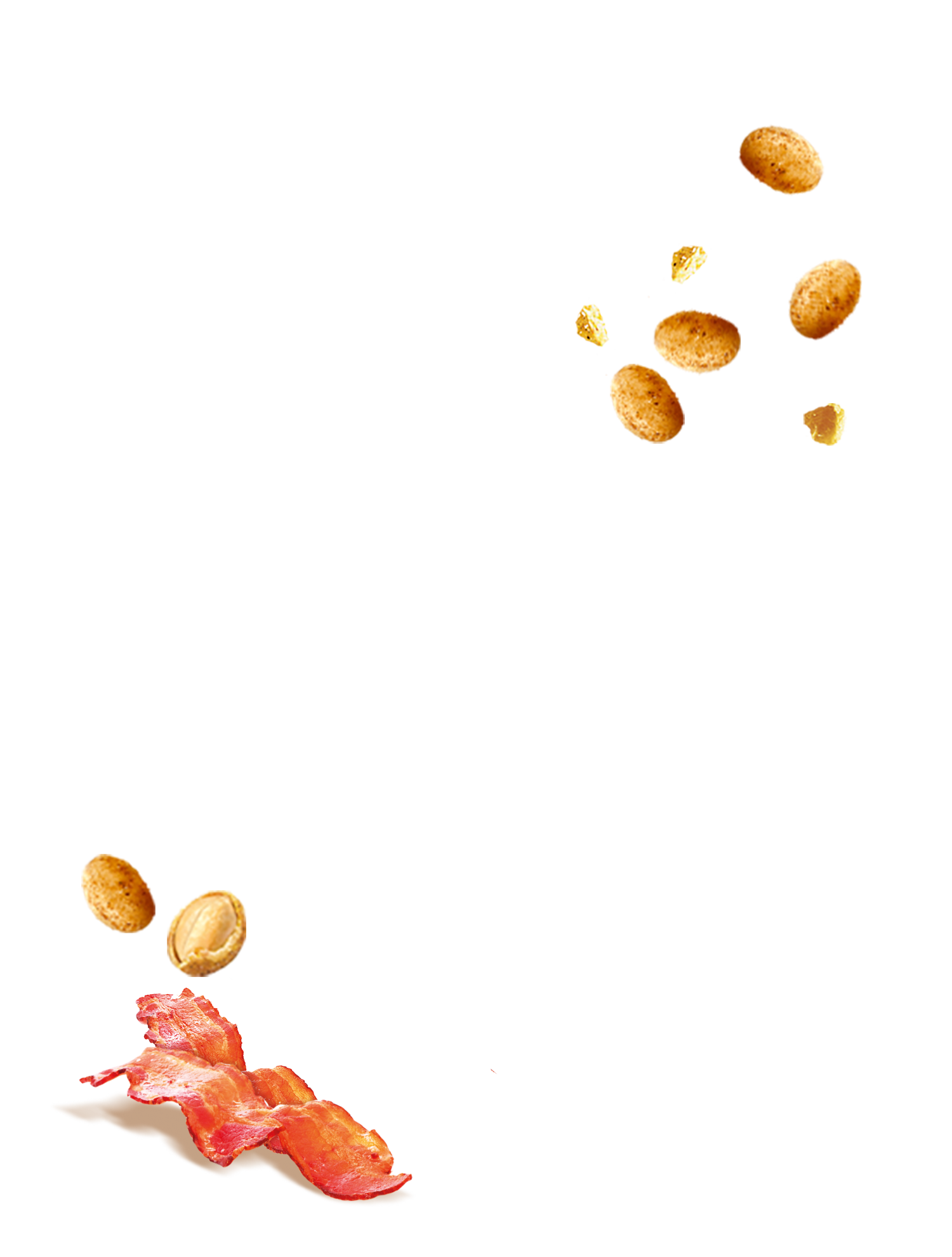 PLAN1_CCHENR_BACON