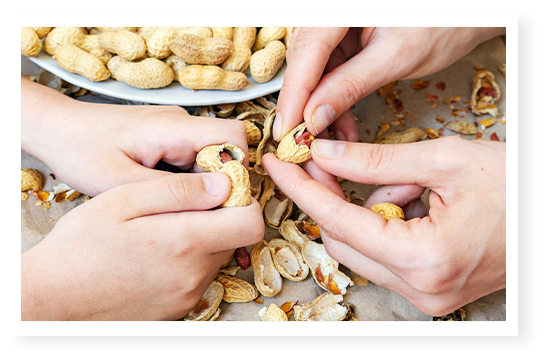 Cacahuètes en coques