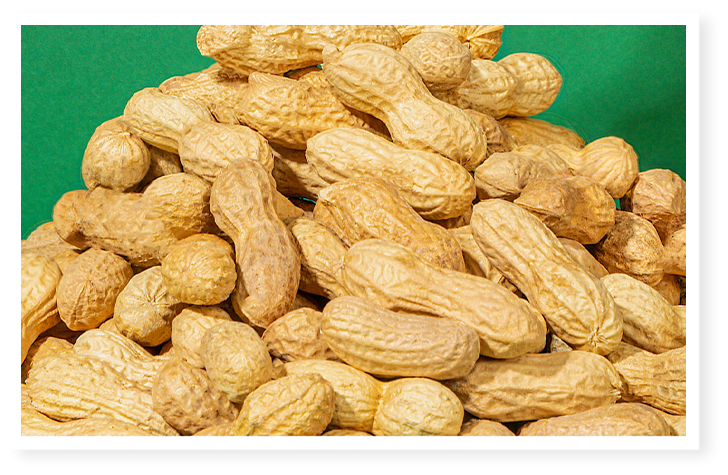 cacahuètes en coque