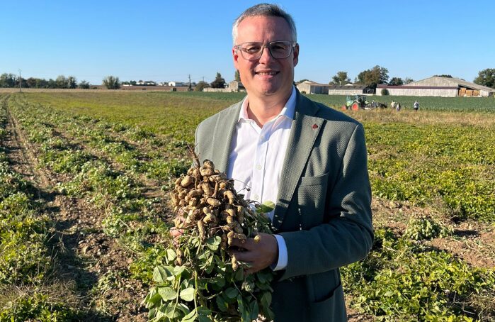 Homme tenant des cacahuètes fraîchement récoltées dans un champ Menguy's