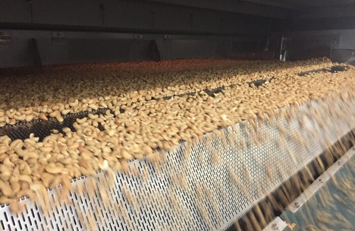 Noix de cajou grillées sur ligne de production Menguy's Apéro